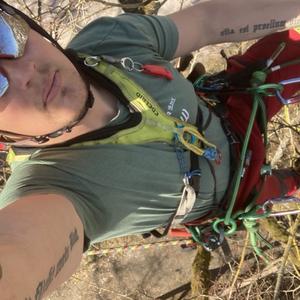 Baumpflege-Hillenmeyer