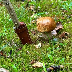 Summer Bolete