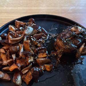 Summer Bolete