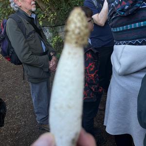 Unknown Species
