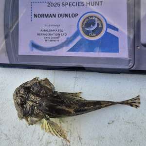 Unknown Species