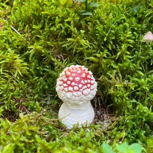 Fly Agaric