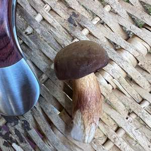 Unknown Species