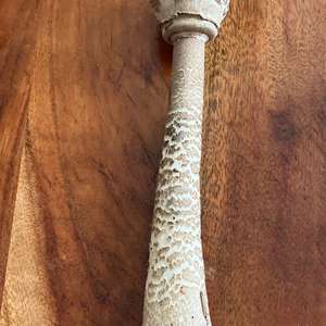 Parasol Mushroom