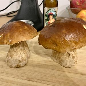 Steinpilz