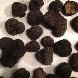 Summer Truffle