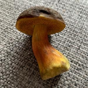 Unknown Species