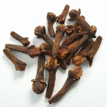 Syzygium aromaticum